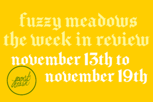 Drugged Slut Porn - FUZZY MEADOWS â€” POST-TRASH