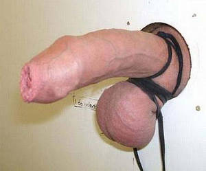 Cock Docking Porn Caption - Deepest female penetration