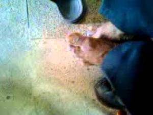 mallu hidden cam sex - normal lady the Hd Video Sex Clips the truth smile