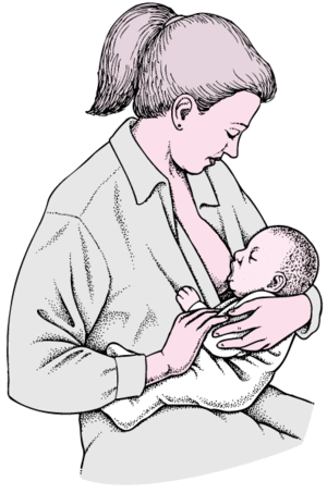 Breastfeeding Porn Gif Tiny Tit Mom - Breastfeeding - Children's Health Issues - MSD Manual Consumer Version