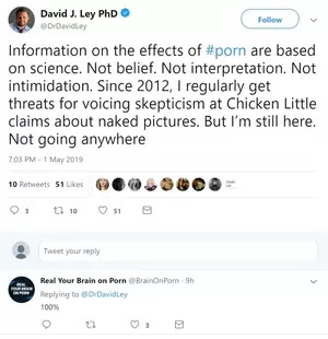 Illicit Porn Intimidate - Aggressive Trademark Infringement Waged by Porn Addiction Deniers  (www.RealYourBrainOnPorn.com)