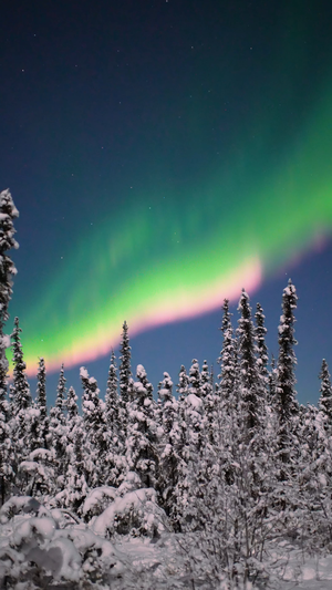 Home Movie Porn Fairbanks Alaska - ðŸ”¥ The aurora borealis last night in my backyard - Fairbanks, Alaska :  r/NatureIsFuckingLit
