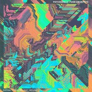 Electronic Psychedelic Porn - Psychedelic Porn Crumpets â€” Shyga! The Sunlight Mound