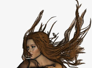 artwork cartoon sex galleries - 