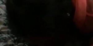 Homemade Porn Louisville - Lil thot from Louisville Ky sloppy head (Lexi Lou) - Tnaflix.com