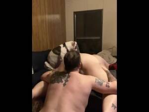 bbw fucked hard gf - Bbw Girlfriend Gets Fucked Hard By Tattooed Boyfriend - xxx Mobile Porno  Videos & Movies - iPornTV.Net