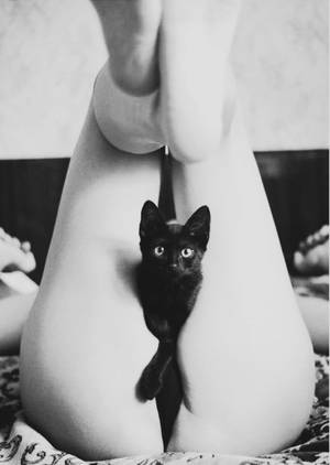 black kitty pussy - Pussy Cat Â· Nude PhotographyBlack ...