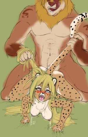 Cheetah Porn - Statistics