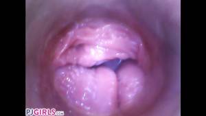 camera inside vagina during sex - PJGIRLS Silvia DeLuxe sticks c