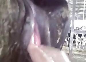 mare fisting videos - Fisting Porn Videos / Horse Porn Tube / Most popular Page 1