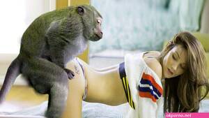 Girls Having Sex With Monkeys - Porn with monkey | Free Porn Hd Sex Pics at Okporno.net
