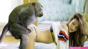 Girl Monkey Porn - Porn with monkey | Free Porn Hd Sex Pics at Okporno.net