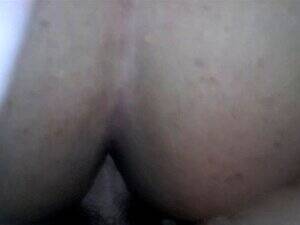 Jayla Porn Auction - Ts Jayla Hill porn videos at Xecce.com