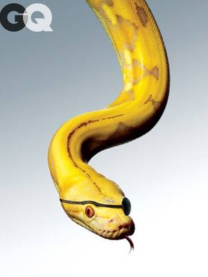 big fat cock priapism - 