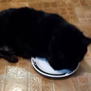 Carol Peters Porn - Carol Peters