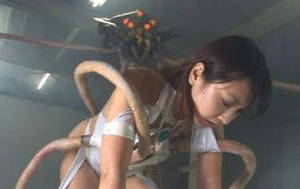 Asian Superheroine Porn - image