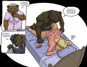 Bed Sex Porn Cartoon Bear - Rule 34 - animal genitalia animal penis baby bear bear bestiality  goldilocks goldilocks and the three bears imminent penetration imminent  rape imminent sex imminent vaginal indoors lying on stomach mama bear papa