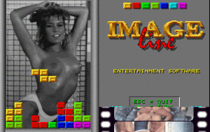 Dos Porn - Porntris (DOS) - online game | RetroGames.cz