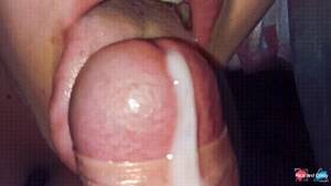licking dick cumshot - Cumshot By Licking Dick Porn Gif | Pornhub.com