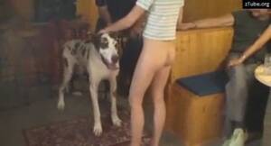 Bestiality Orgy Porn - Dog cum sluts orgy with young girls - ZooTube Videos