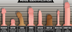 dick size - Dick Size Matters According to Pornstars