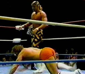 Brad Armstrong Wrestler Do Porn - Brad Armstrong â€“ Sidelineland