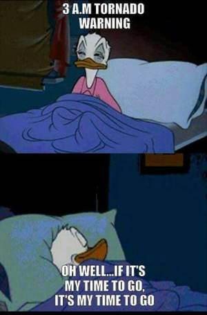 Flabby Twister Diaper Porn - Funny Pictures Of The Day 22 Photos Famepace