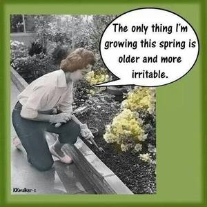 Furry Porn Dragon Captions Eggs - The only thing I'm growing this spring is older and more irritable, yup so  piss off