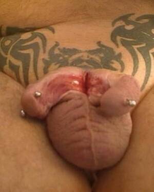 Extremely Weird Porn - Very extremely weird cocks Porn Pictures, XXX Photos, Sex Images #3016935 -  PICTOA