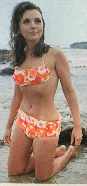 Dawn Wells Nude Porn - Dawn Wells : r/CelebrityBelly