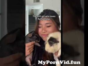 asian american girls having sex - Me Deciding Which Kind of Asian American I Want to Be from asian america  girl having sex Watch Video - MyPornVid.fun