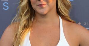 Amy Schumer Chubby Porn - Amy Schumer's alleged joke stealing, explained - Vox