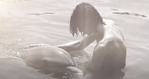 Dolphin Sex Porn - Man claims dolphin seduced him and it led to a sexual relationship