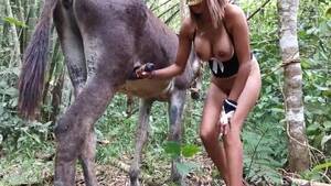 Donkey Porn - Donkey Porn