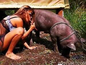 Babe Pig Movie Porn - Babe Pig Movie Porn | Sex Pictures Pass
