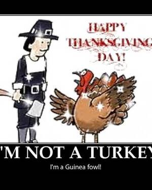 Funny Turkey Porn - Funny Happy Thanksgiving by SLAVE2PUSSY Porn Pictures, XXX Photos, Sex  Images #1299797 - PICTOA