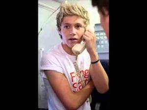 Niam Gay Porn - Niall Horan saying She watches gay porn