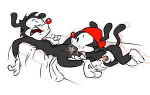 Gauy Porn Animaniacs - Rule 34 - animaniacs balls cum fellatio furry furry only gay hat ishoka  male no humans oral oral sex original character penis sex sleeping wakko  warner | 1441665