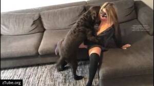 Hot Bestiality Porn - veronica silesto dog porno - hot zone - ZooTube Videos