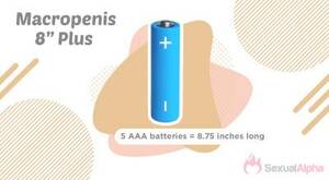 Average Penis Size Porn Star - Comparing The Average Penis Size And Pornstar Penis Size [2023]