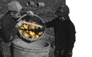 Katy Perry Hardcore Porn Girl - Katy Perry - Uncyclopedia, the content-free encyclopedia