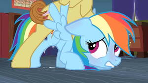 Applejack Porn - My Little Pony Fluttershy Rarity Applejack Twilight Sparkle Pinkie Pie y  Rainbow Dash porn - XVIDEOS.COM