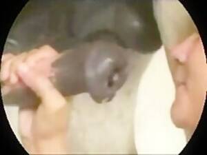 Marina Lotar Bestiality Porn - Most Relevant Videos - marina hedman horse blowjob - Bestialitysextaboo - Animal  Bestiality