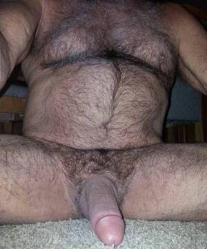 big fat hairy cock - Hairy Chubby Big Cock (65 photos) - porn
