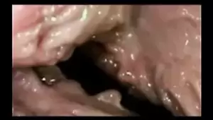 internal - Free Internal Porn Videos | xHamster