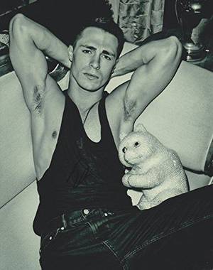 Arrow Tv Show Porn - Colton Haynes Autographed Signed 8X10 Photo COA 'Teen Wolf'