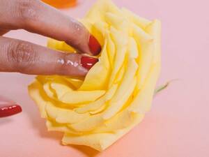 girls masturbation in panties - Ask The Sexpert: From erectile dysfunction to masturbation, Dr Rajan  Bhonsle, Dr Sagar Mundada and Pallavi Barnwal answer your questions