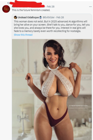 Feminism Porn - Let's blame feminism for male porn addiction : r/NotHowGirlsWork