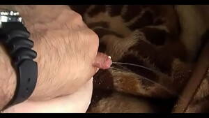 lactating udders - Lactating - Milking the 'very heavy udder full of milk' - XVIDEOS.COM