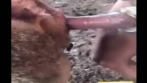 Man Fucks Goat - Horny dude ass fucks goat at the farm in restless manners